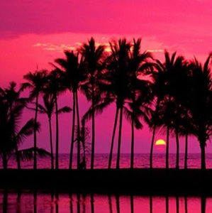 Meet your Posher, Max